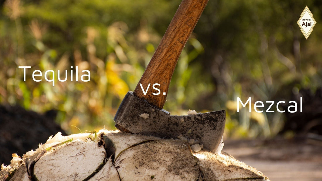 Tequila vs Mezcal. Agavenherz auf dem eine Axt steht