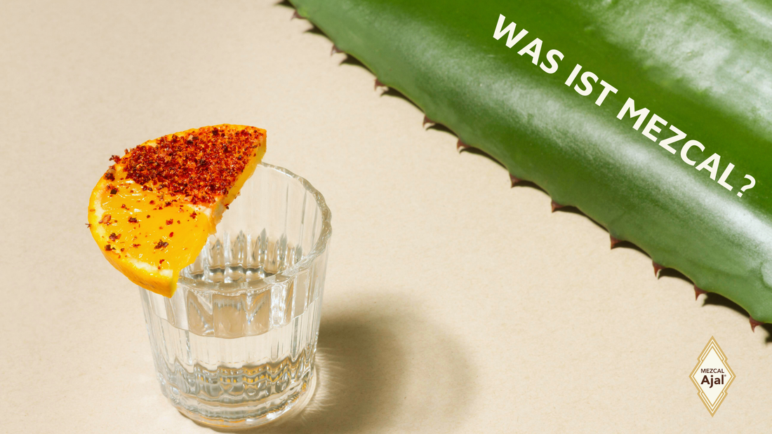 Was ist Mezcal, Mezcal Glas vor Agavenblatt